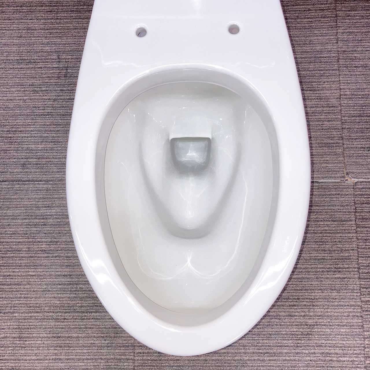  品 松下電工 トイレ 洋式便器 床下排水 CH 420 WS 排水芯200 mm とFRP製タンク のセット ホワイト 76 J トイレ 住宅設備