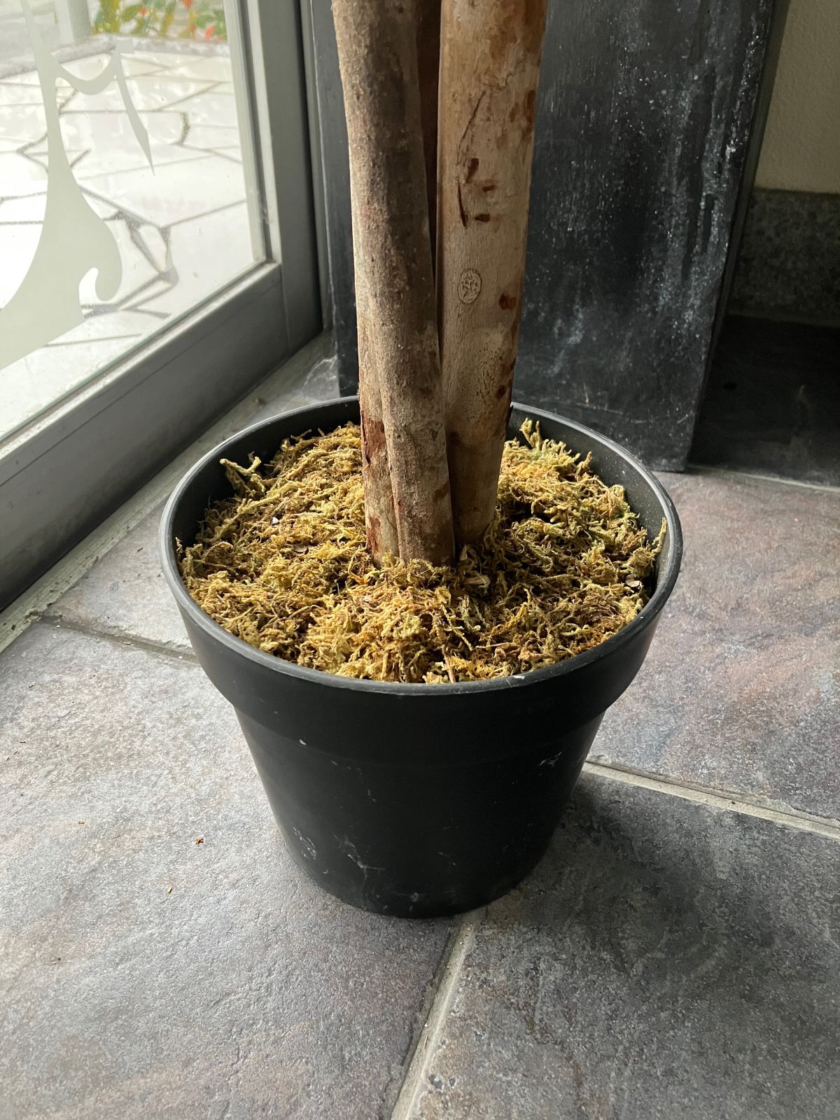 フェイクグリーン 大型 H150cm オリーブ 人工観葉植物 天然木と 