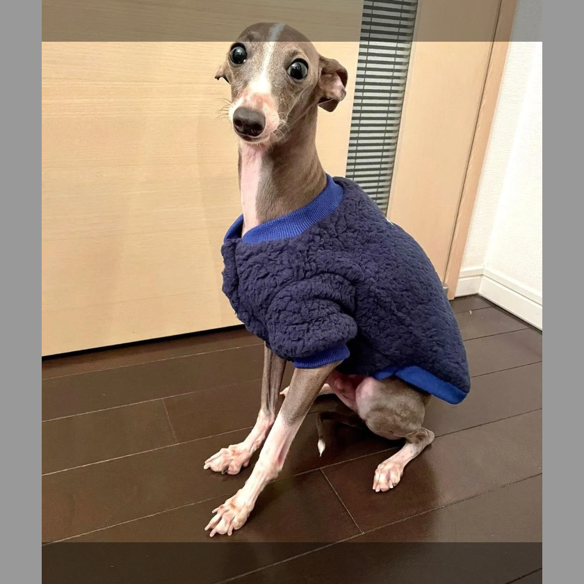 犬　服　犬服　犬の服　ドッグウェア　フリース　ピンク　犬用品　トレーナー　イタグレ　イタリアングレーハウンド　冬　小型犬　中型犬　S　M　L　XL　XXL