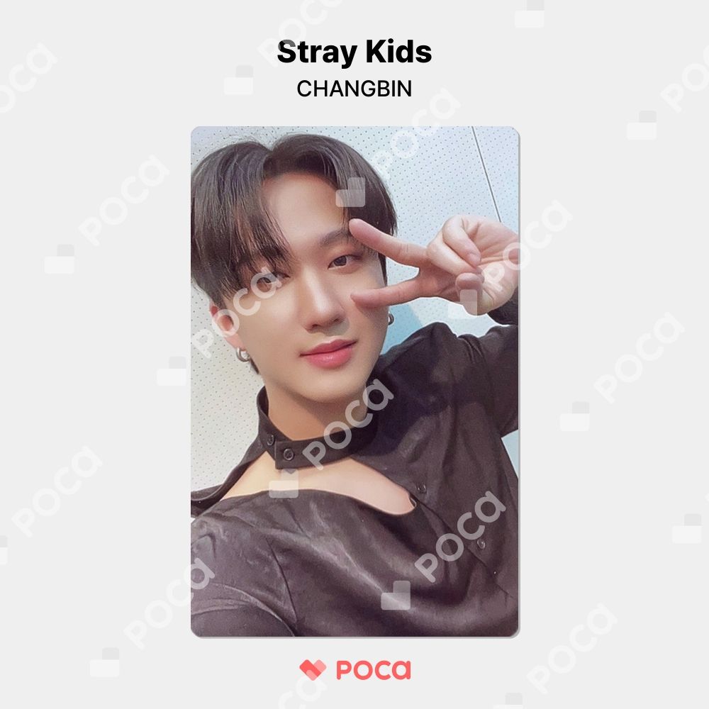 Stray Kids Changbin チャンビン スキズ トレカ 9枚 Stray Kids スキズ チャンビン Changbin トレカ ステッカー