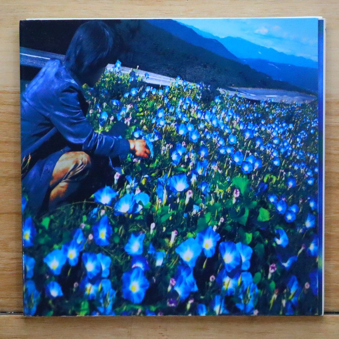 国内盤CD☆レミオロメン/Remioromen□ 朝顔 (CCCD) 【VICL61237