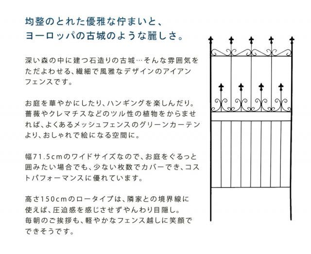 ロータイプ 2枚組