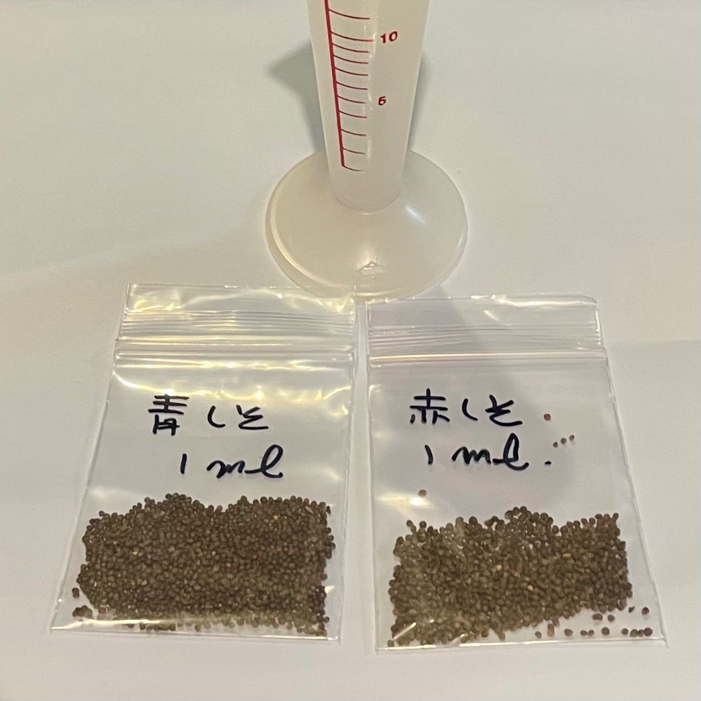 青しそ 1000本以上 中大苗 根付き苗 無農薬 匿名発送 送料込 大葉青