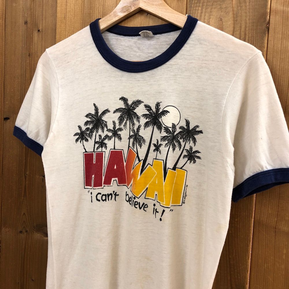 予約販売】本 vintage Tシャツ USA製 hanes ヘインズ 三角タグ 70s80s