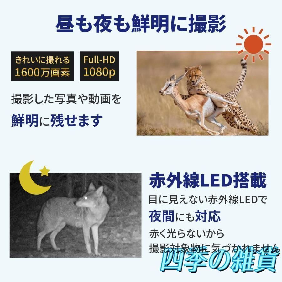 貴重レア【奇跡】限定生産 タカラ フラワーロック モノトーン FRB-1