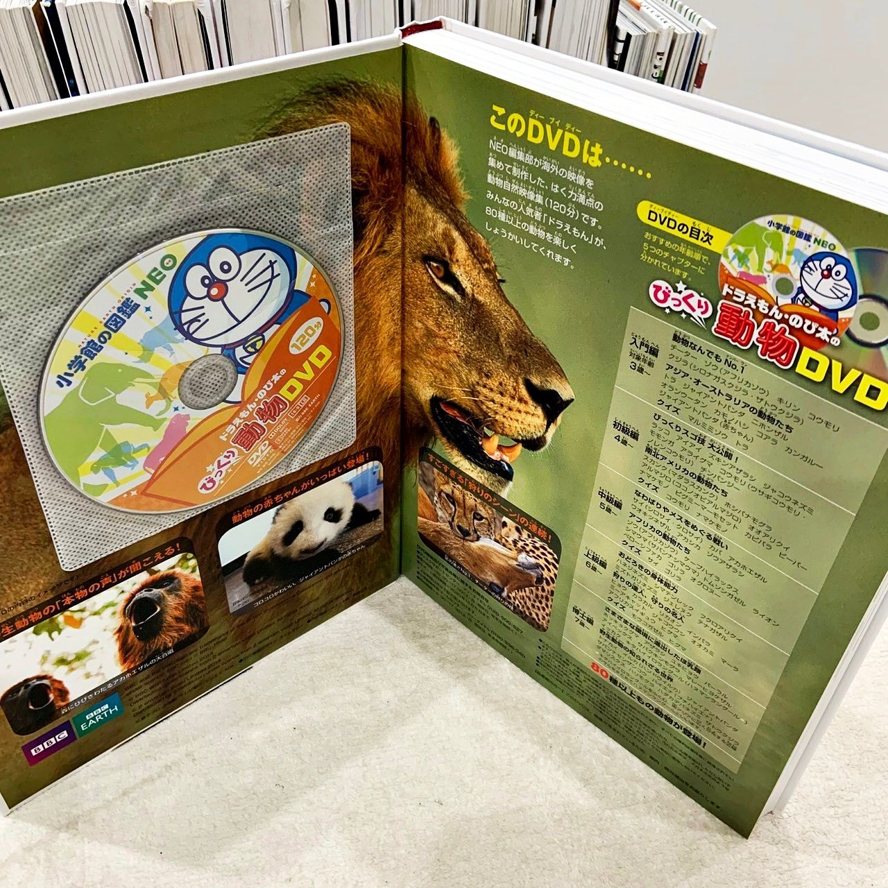 小学館の図鑑NEO 15冊セット はじめての絵画 図鑑まとめてお得 危険