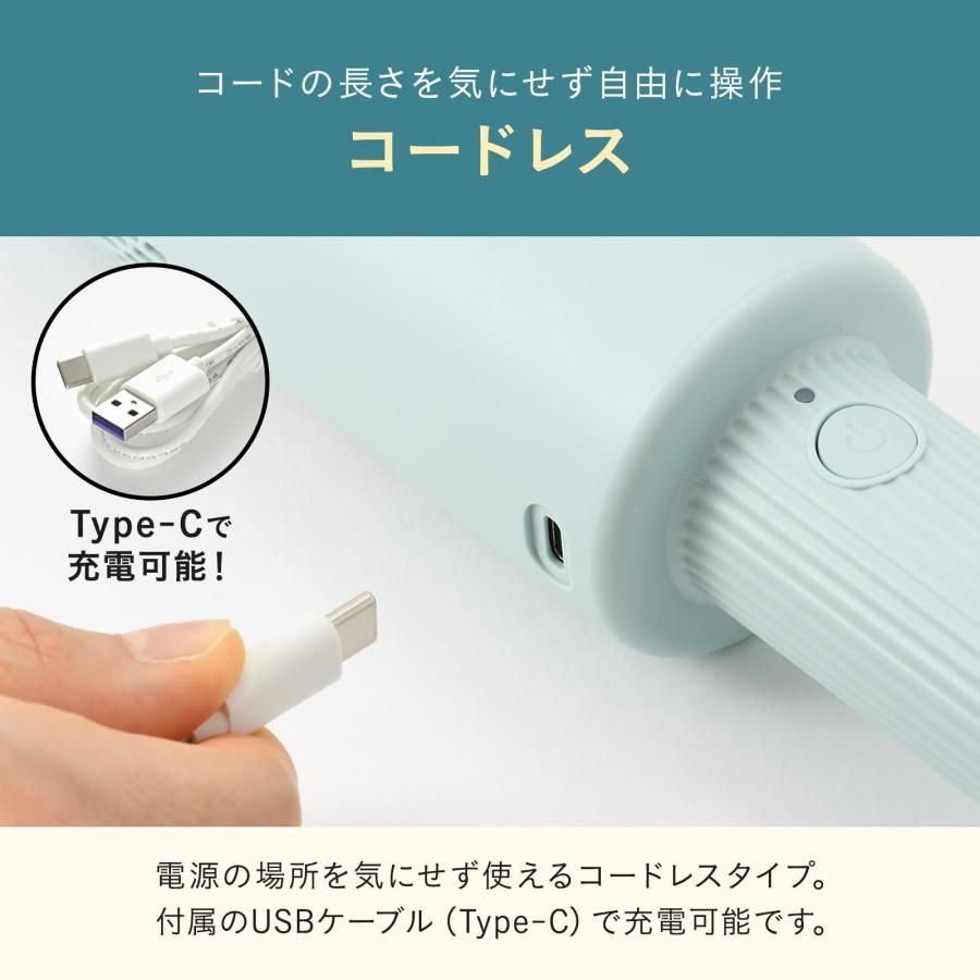 2way Type-C充電