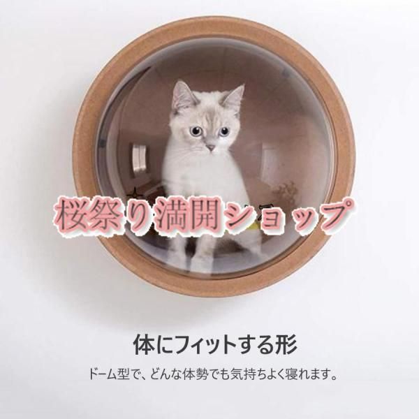 空気穴で ドーム状