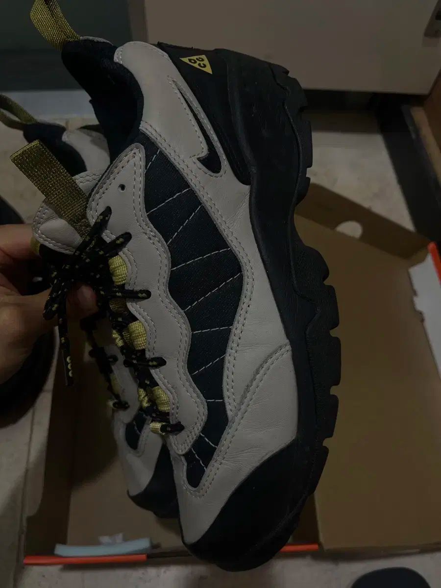 acg マダムブラック