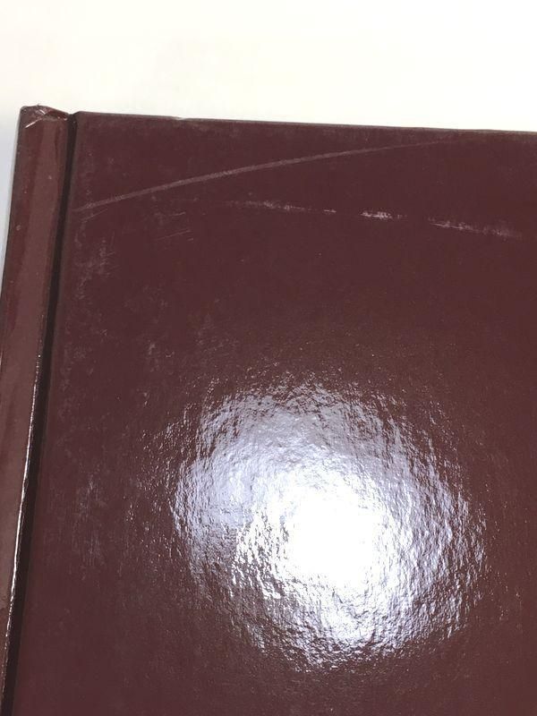 美しい荘厳な芸術 ヨーロッパの大聖堂