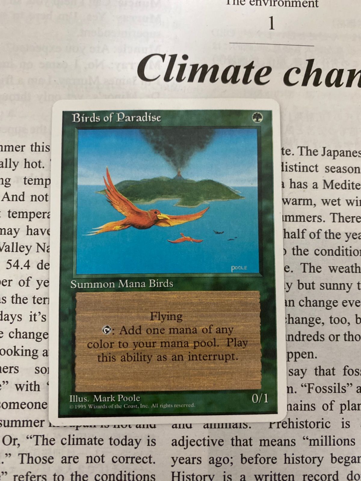 MTG Birds of Paradise 極楽鳥 英語 第4版 4ED - メルカリ