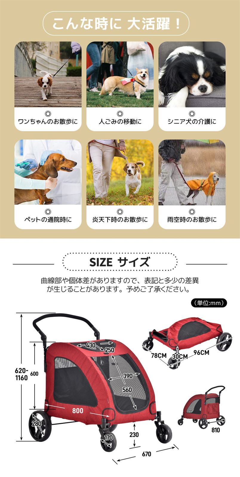 犬
