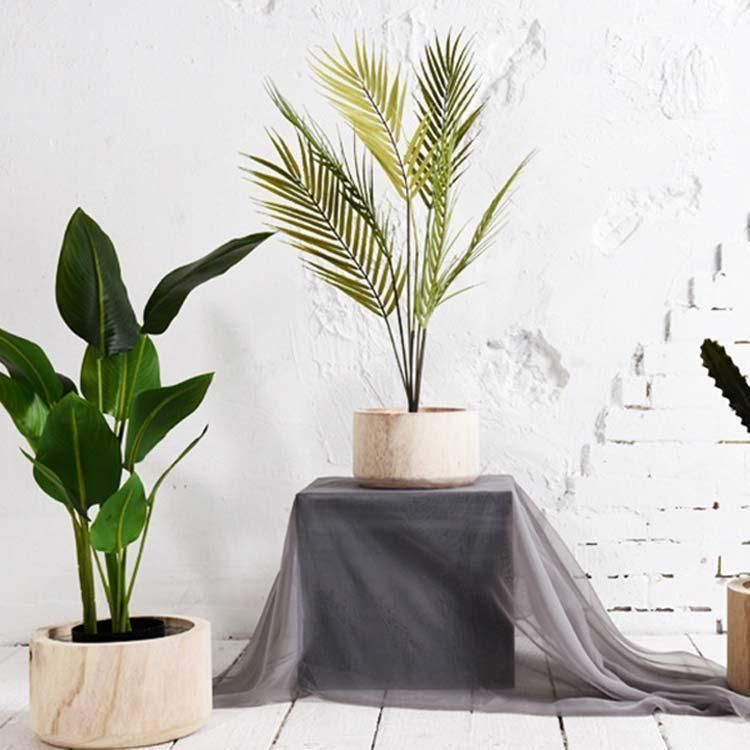 観葉植物 植木鉢