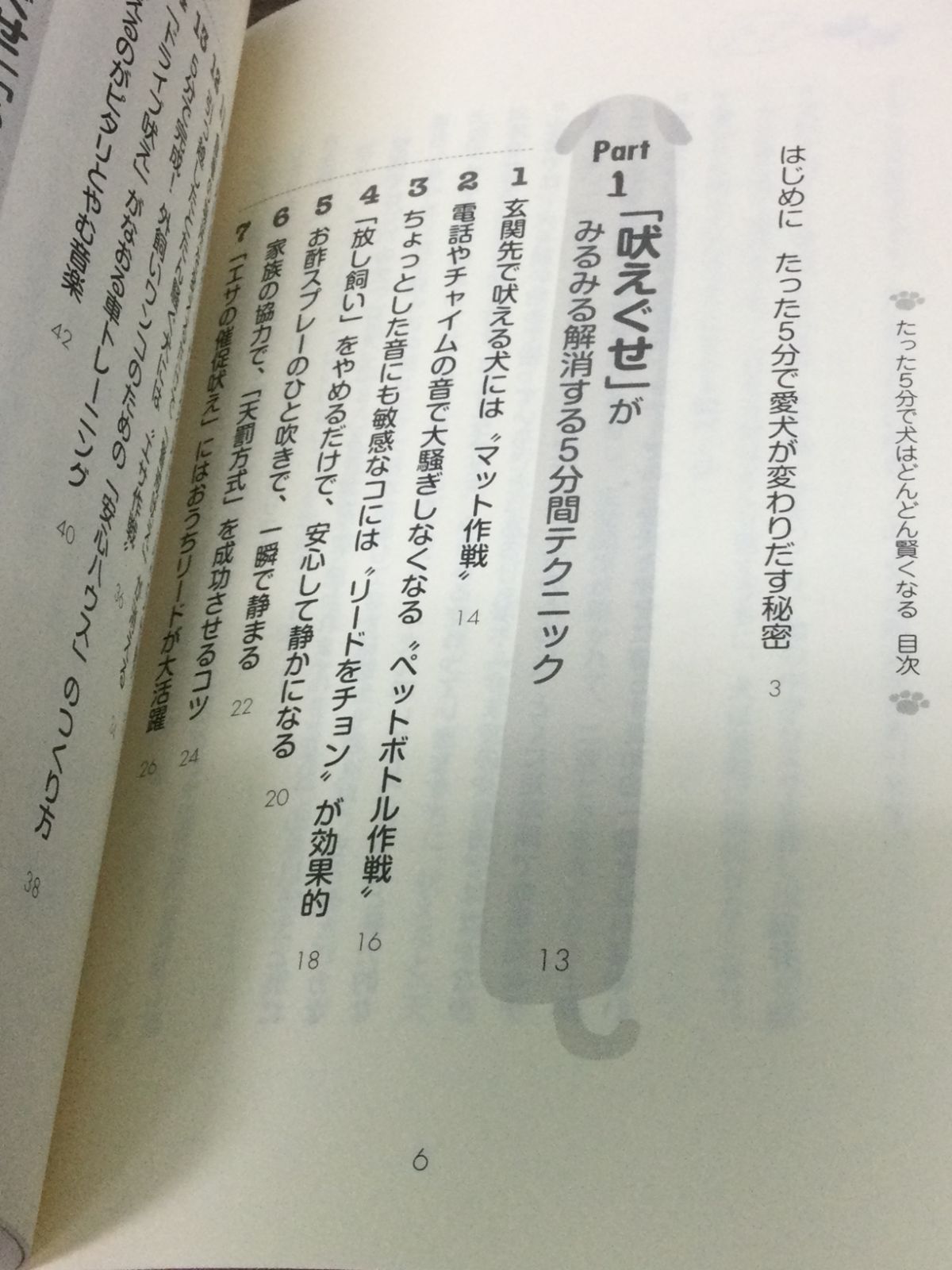 カリスマ訓練士の たった5分で犬はどんどん賢くなる (スーパーブックス) 藤井 聡 著 - メルカリ