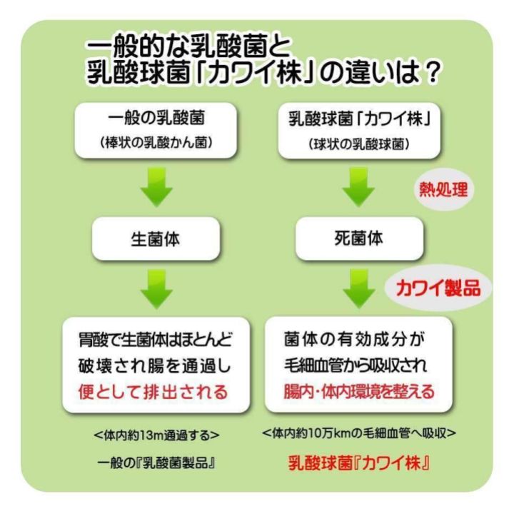 特選品】カワイ900 x3箱 (計300包+10包) 乳酸球菌 カワイ株 900mg 含有