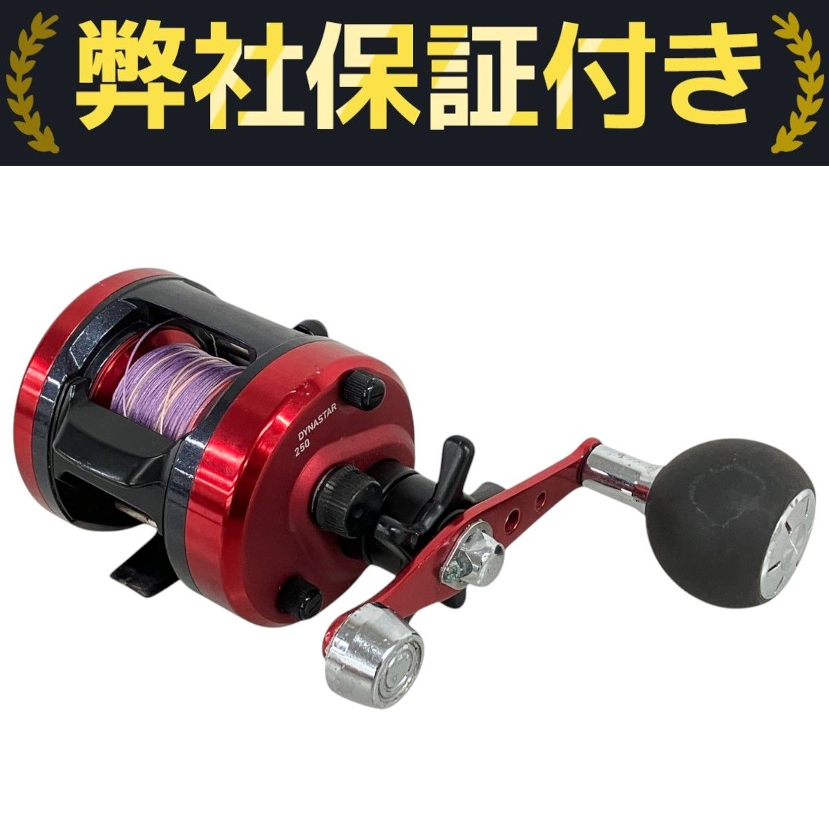 DAIWA DYNASTAR 250 両軸リール ダイワ ダイナスター 釣具 中古