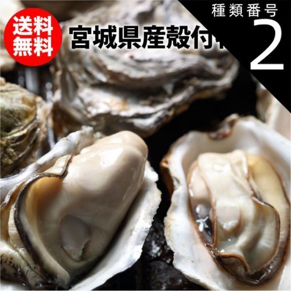 種類2 14kg 牡蠣 殻付き牡蠣 宮城県産