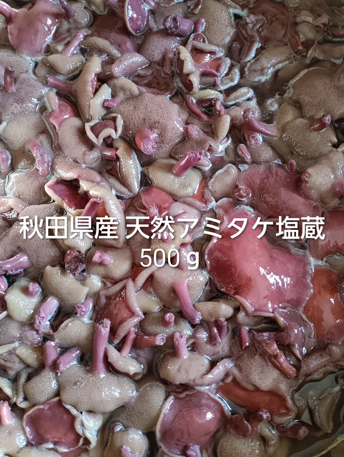 秋田県産 天然アミタケ塩蔵500g - メルカリ