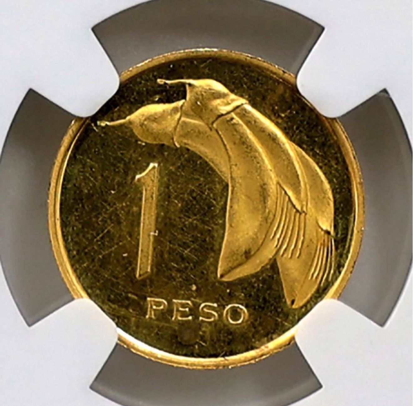 世界4枚 海外プルーフミント希少 1969 ウルグアイ 金貨 コインNGC 63 エドワード4世