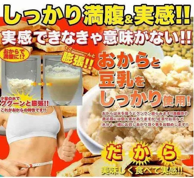 固焼き 豆乳おからクッキー プレーン約100枚1kg 訳あり かたやき ほのかな甘味がおいしい