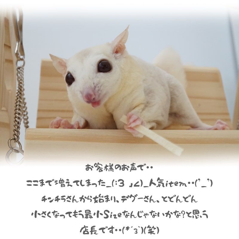 オシャレ 小動物