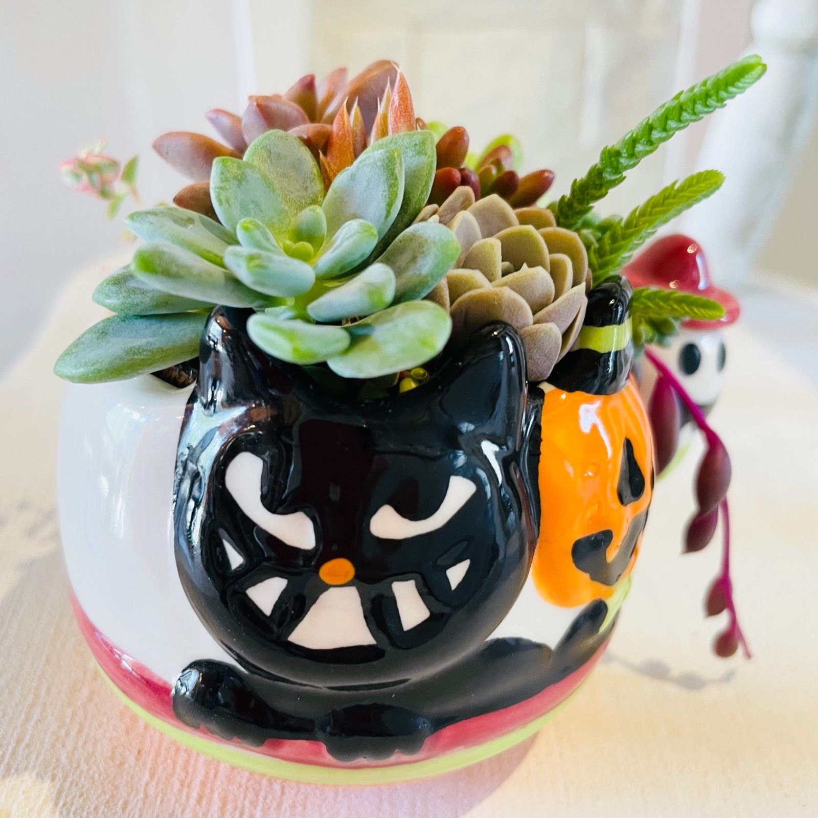 そのまま飾れる♡ハロウィンにぴったりなもりもり寄せ植え♡ - メルカリ