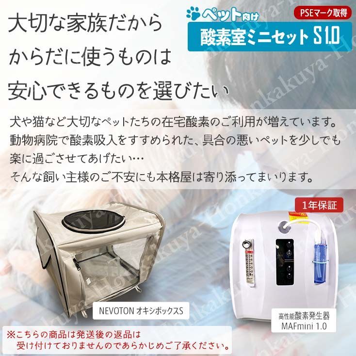 小型犬 猫