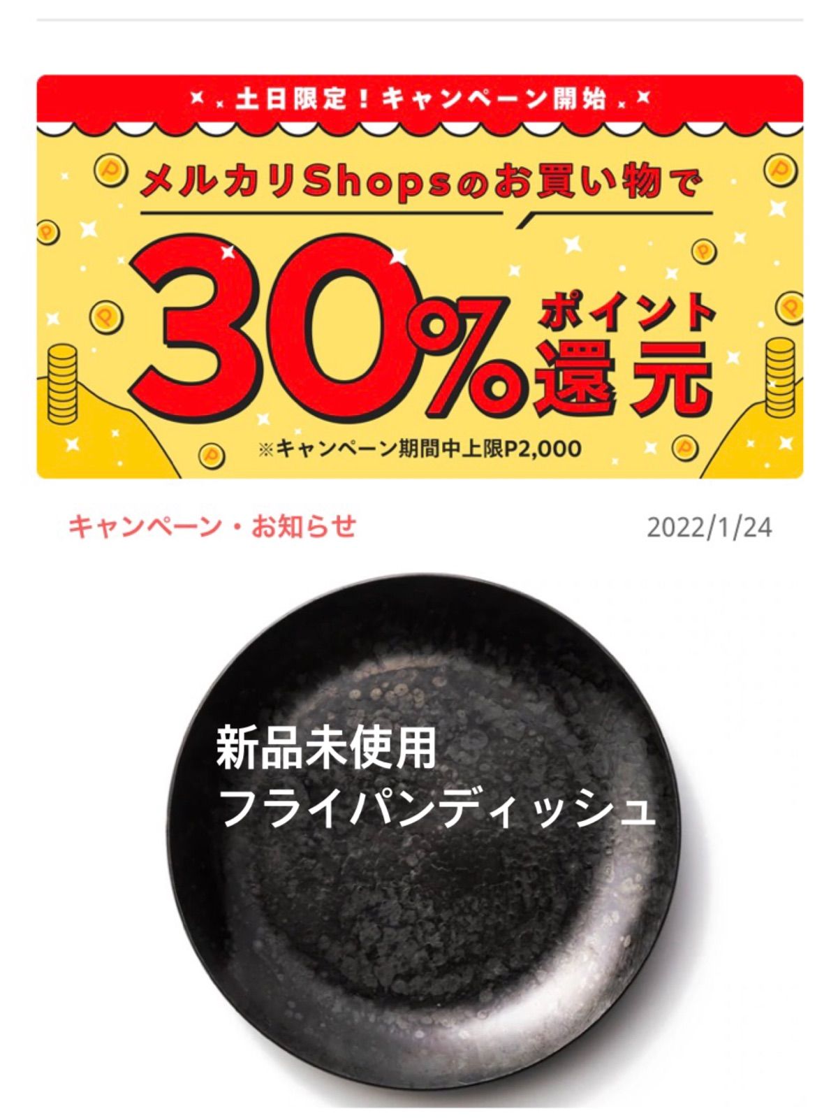 人気の福袋 【SALE／55%OFF】 新品、未使用 フライパンディッシュ 小