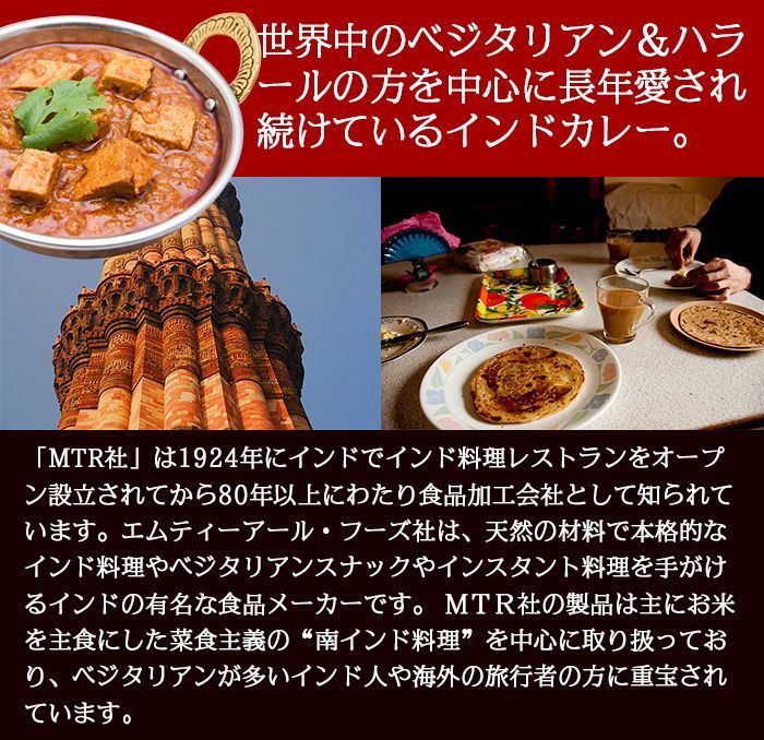 MTR ミックスベジタブル 300g×10個大きめカットの人参・いんげん・カリフラワーなど 野菜いっぱいのインドカレーレトルトカレー ハラール対応 ベジタリアンカレー！ AS240400011