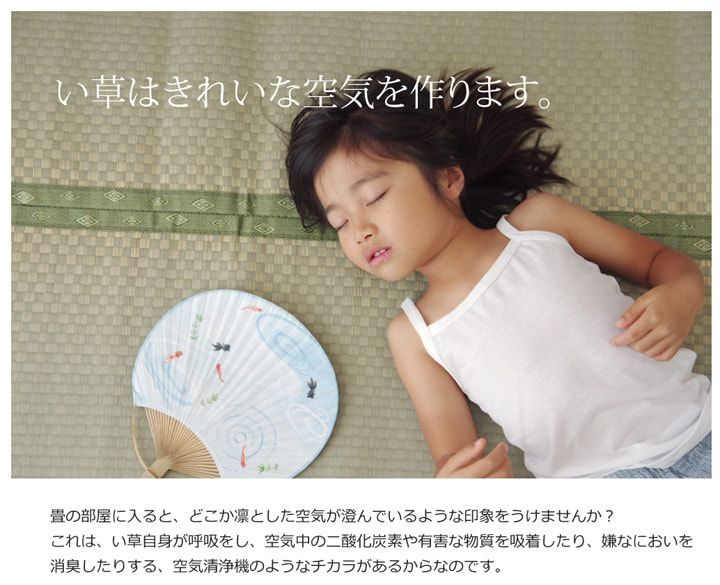上敷 F不知火 176×176cm 江戸間2畳 【公式通販】