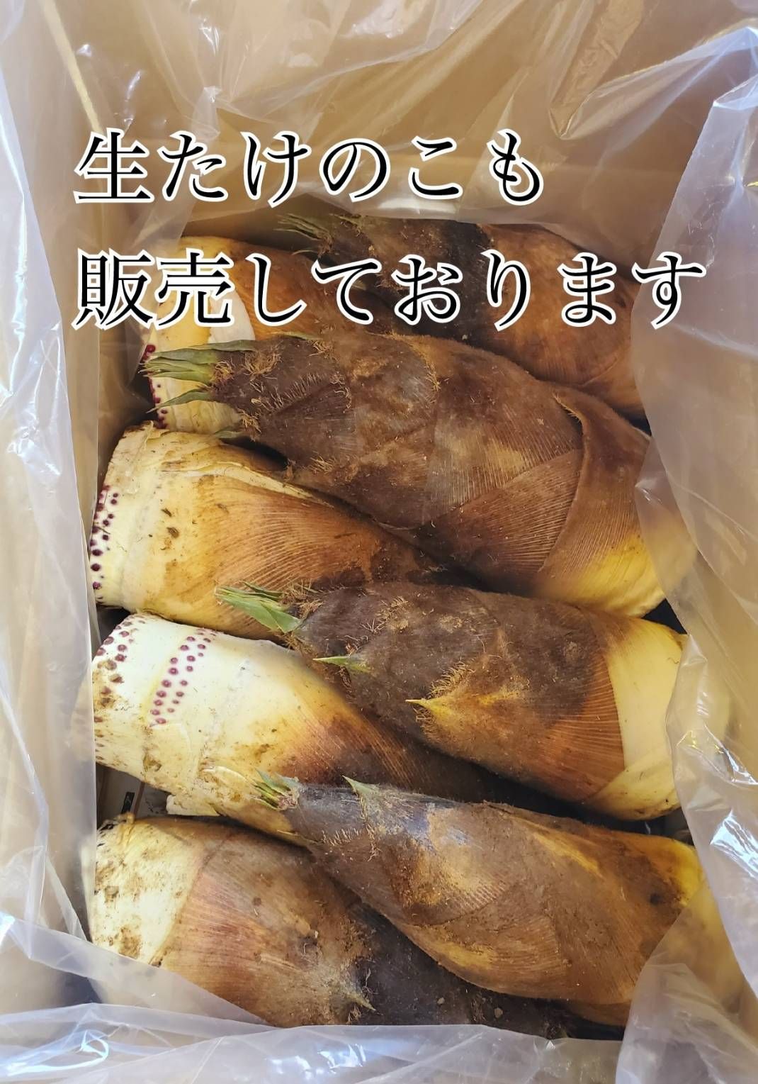 4kg