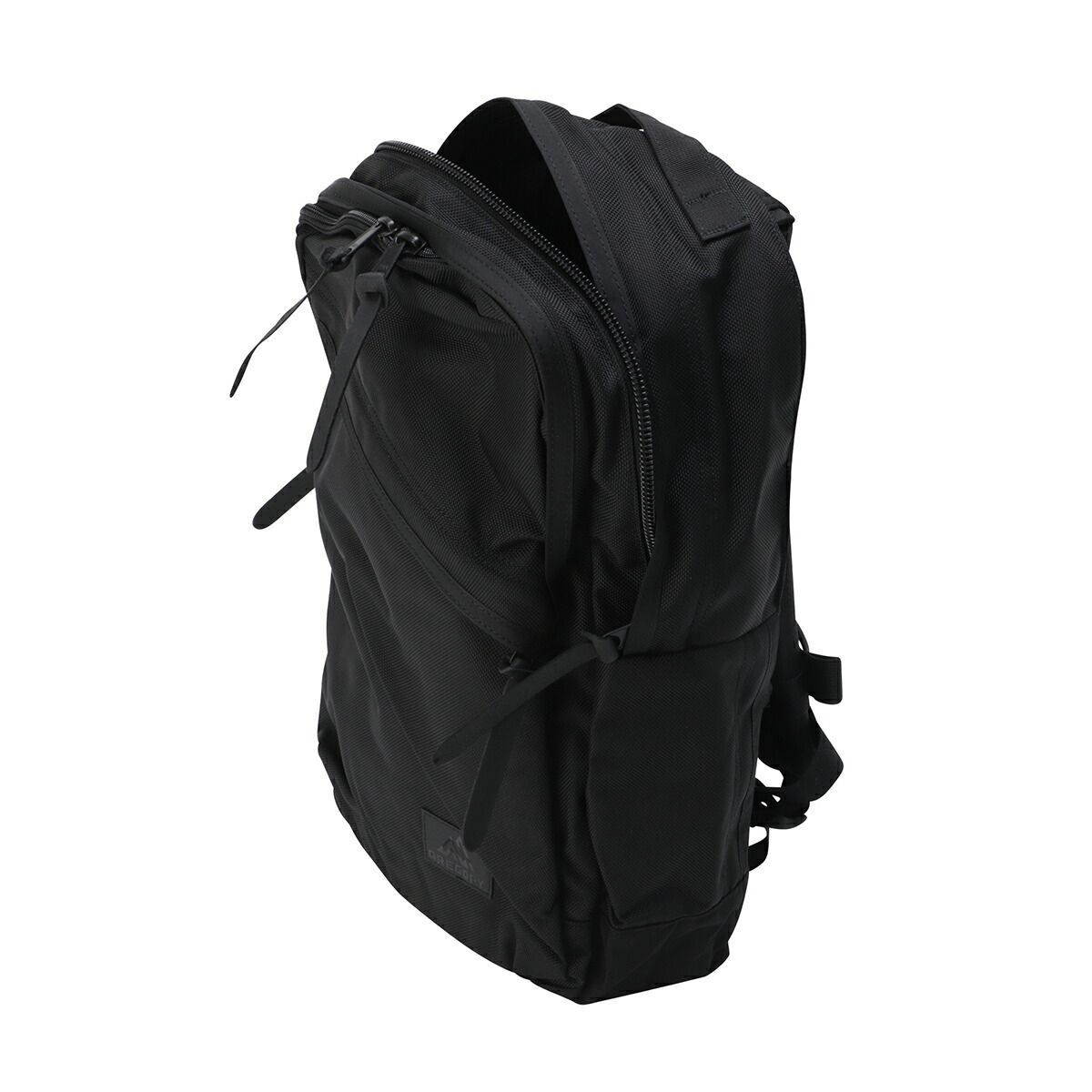 新品 グレゴリー GREGORY リュックサック EVERYDAY V2 コーデュラバリ 
