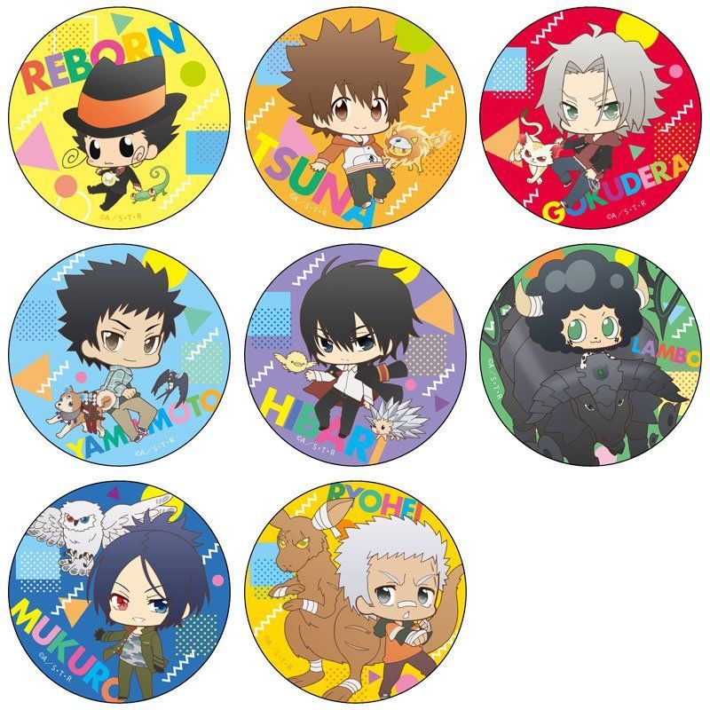 家庭教師ヒットマンREBORN! 天野明展 全巻ピンズセット 綱吉 雲雀 獄寺