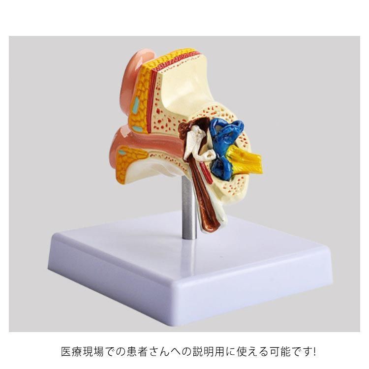 説明