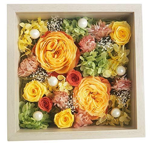 Color イエロー フラデコ プリザーブドフラワー フール イエロー