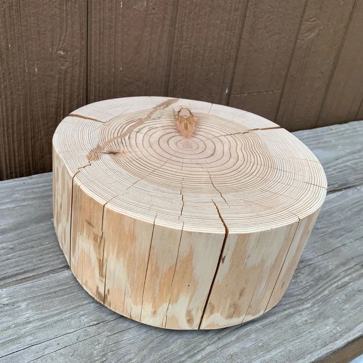 杉 丸太 輪切り 227 銘木 屋久杉輪切り材 天然杉丸太テーブル 屋久杉輪切り