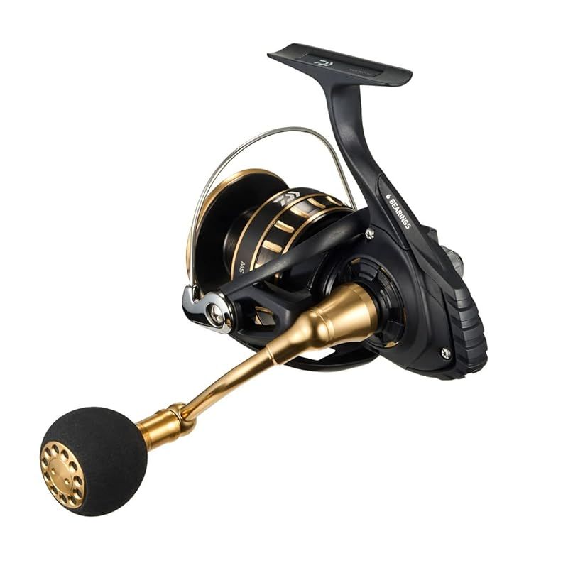 人気 ダイワ(DAIWA) スピニングリール 23BG SW 6000D-H 0 ダイワ(DAIWA