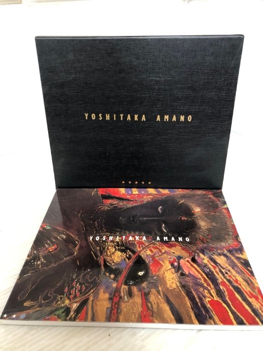 天野喜孝画集 YOSHITAKA AMANO アールビバン 天野喜孝 YOSHITAKA AMANO