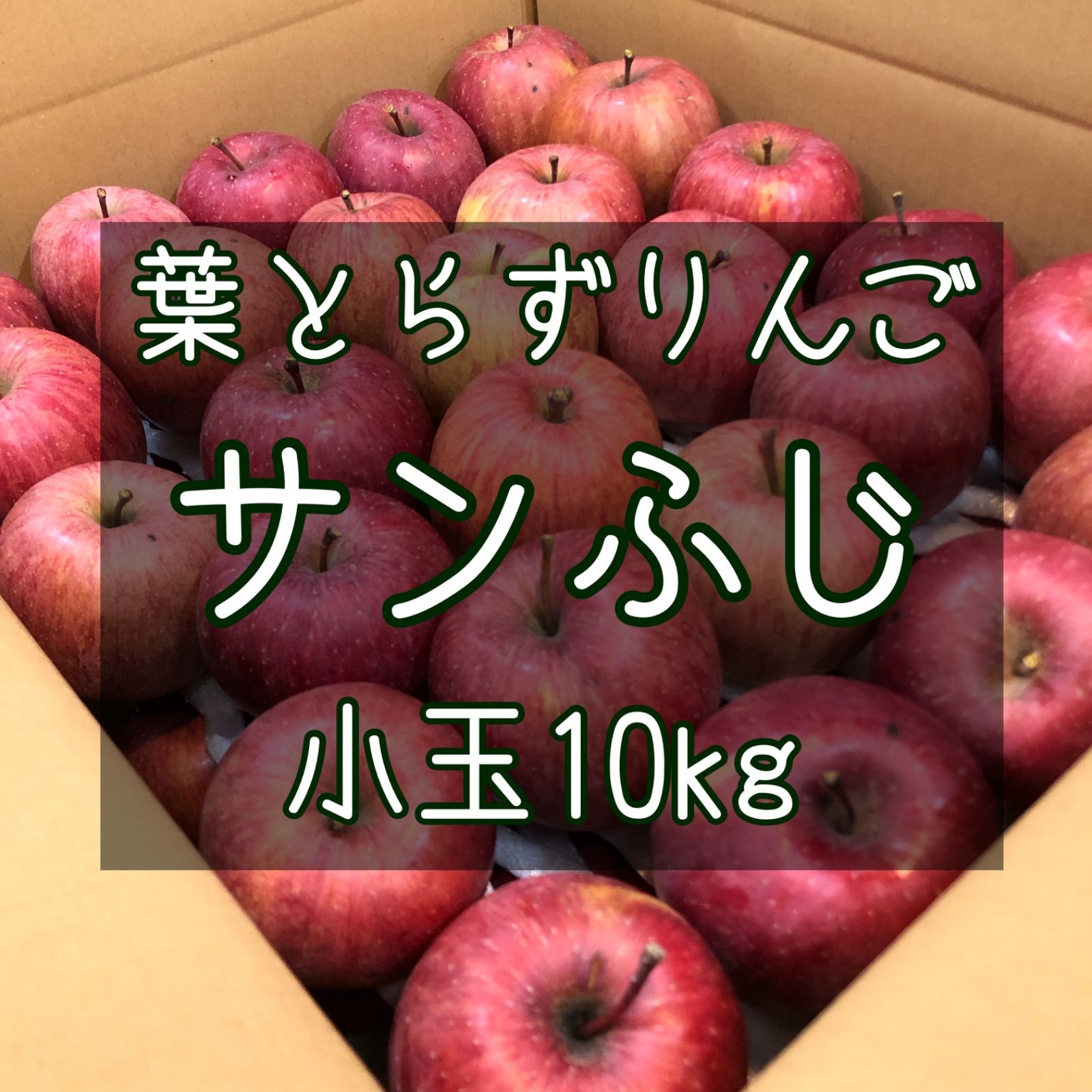 青森りんご 葉とらず サンふじ 小玉10kg-0