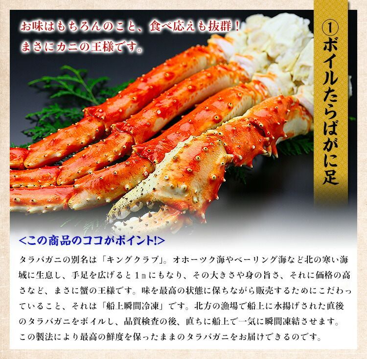 甲羅組