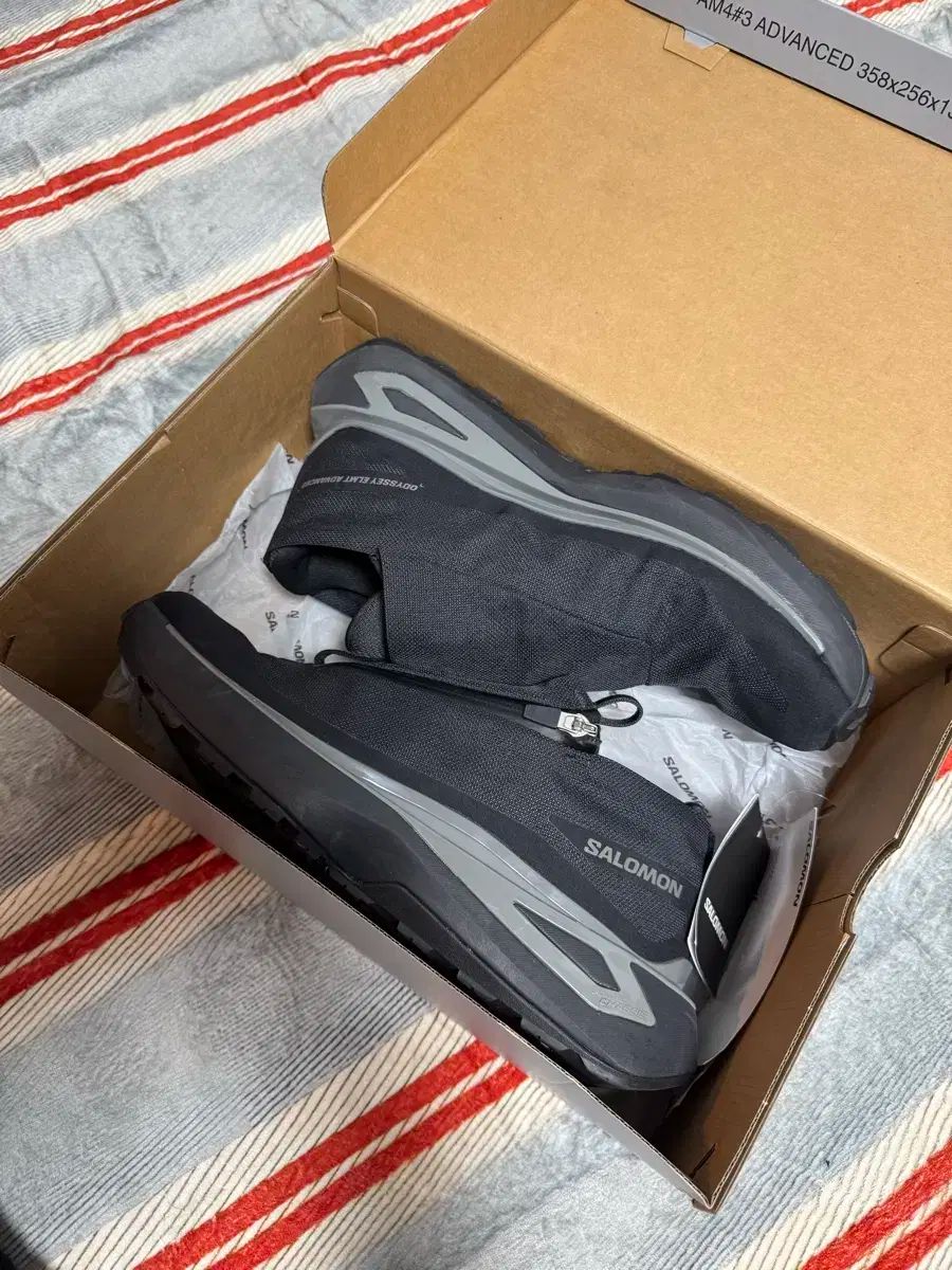 SALOMON POWDER SNAKE × FLAX ビンディング セット