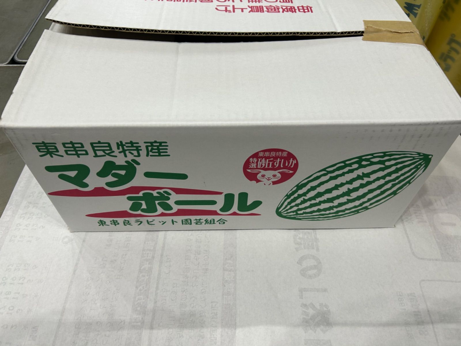 小玉スイカ ラビット