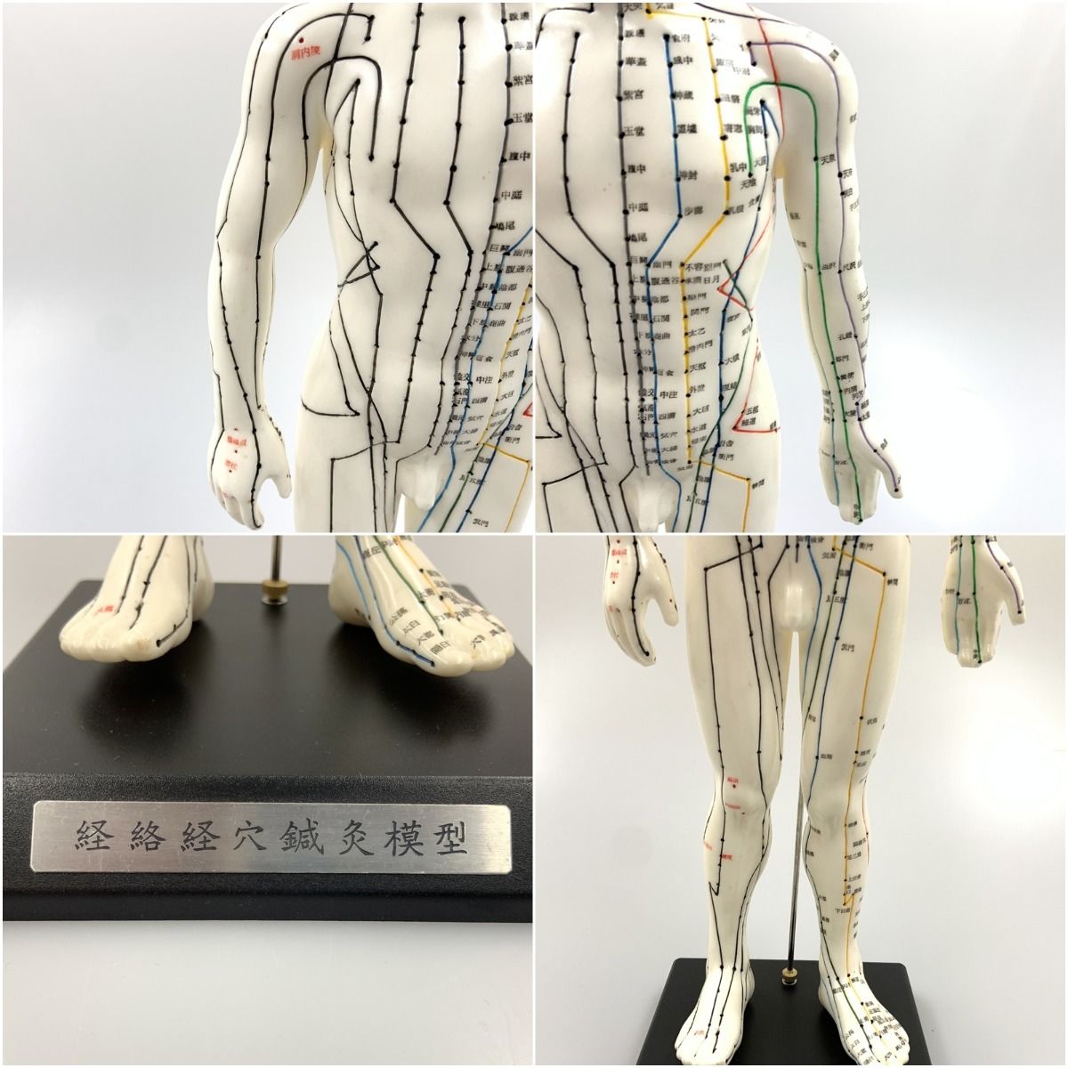 〇〇 経絡経穴鍼灸模型 人形 けいけつくん 男性 - メルカリ