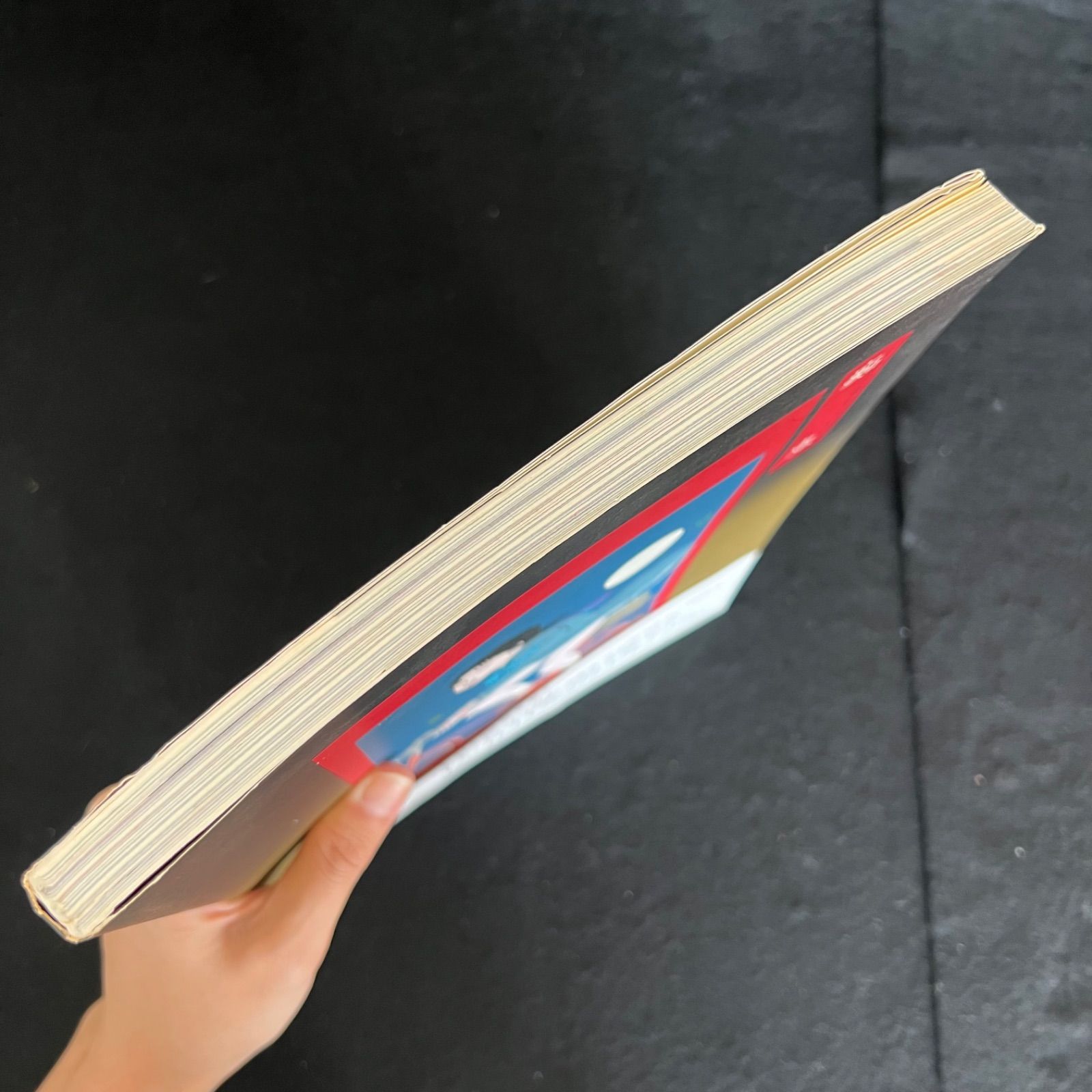 F 帯付き 初版 佐伯俊男 作品集 痴虫 当世超好色無残絵 2002年7月31日初版発行 F25092410 WWW_USTAUSTRALIA_COM_AU