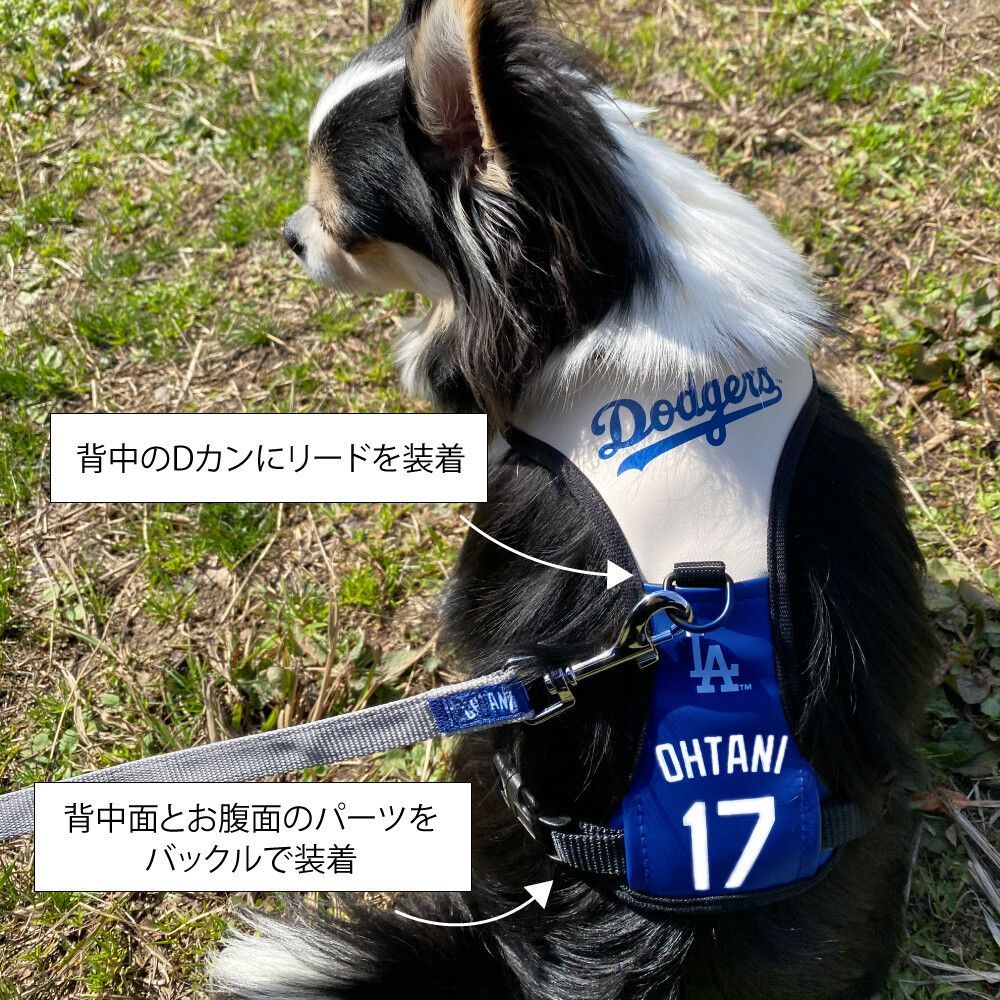 MLB公式 ロサンゼルス ドジャース 大谷翔平選手モデル 犬 ハーネス 胴輪 野球