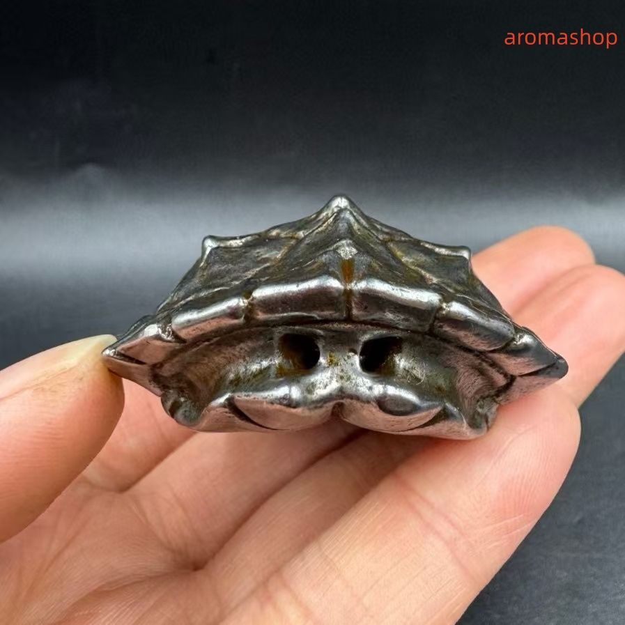 隕鐵 清代 旧蔵 チベット古寺 天鉄-隕石鉄 河図洛書・亀の甲羅