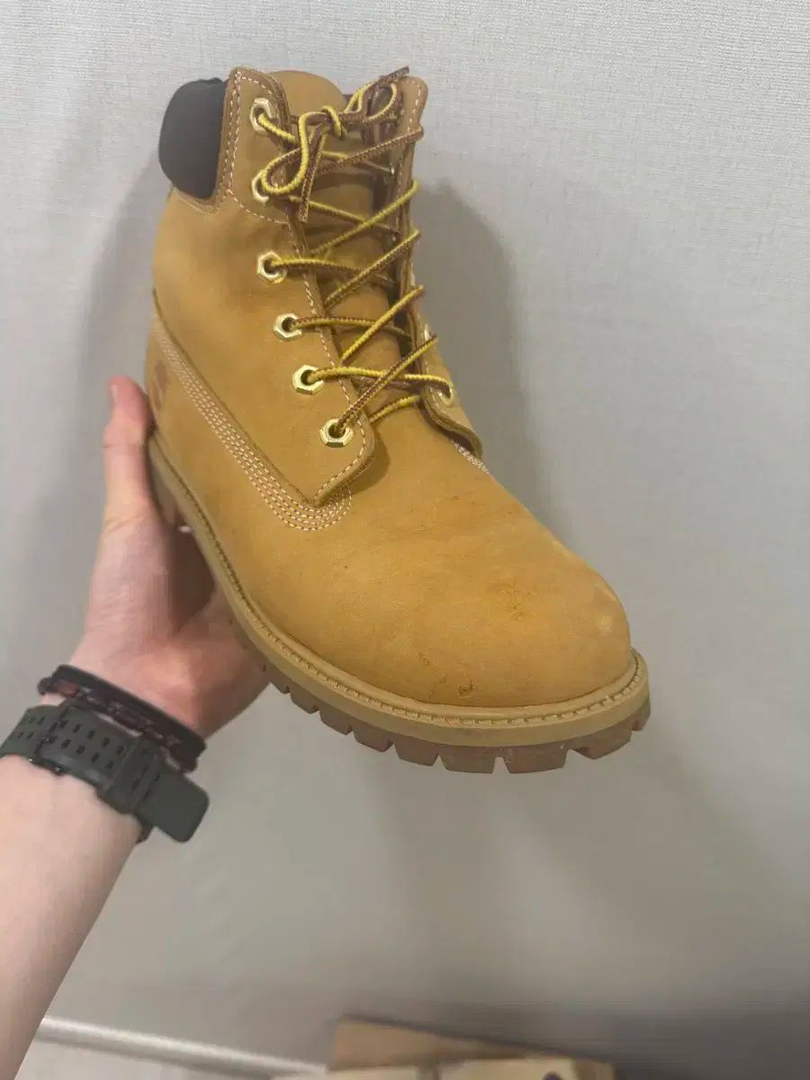 Timberland ティンバーランド 12909 6 インチ プレミアムブーツ 7 サイズ KIN-KAAI_COM