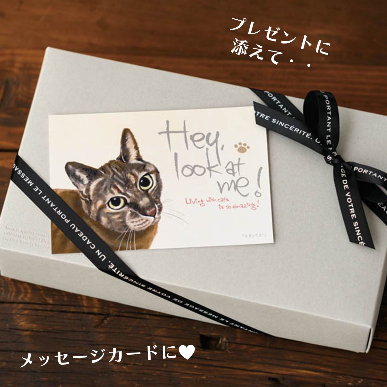 誕生日プレゼント 【お値下げ】ねこ 猫 写真 オリジナル ポスト