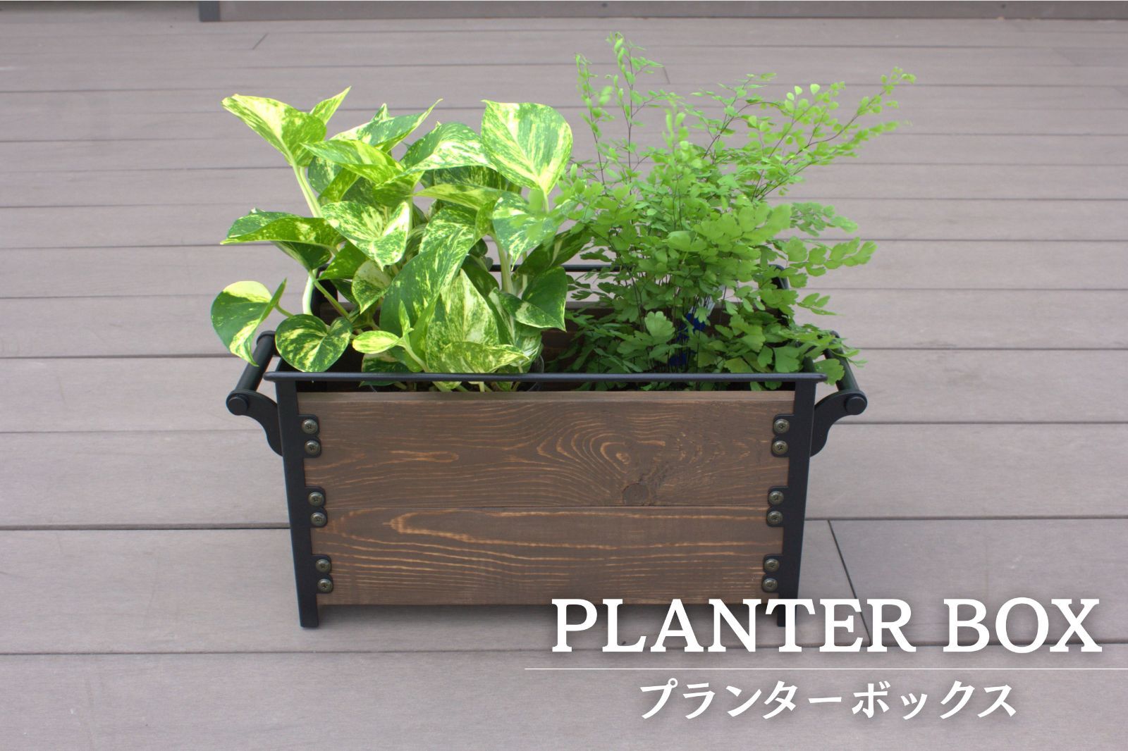 PLANTER BOX プランター ボックス