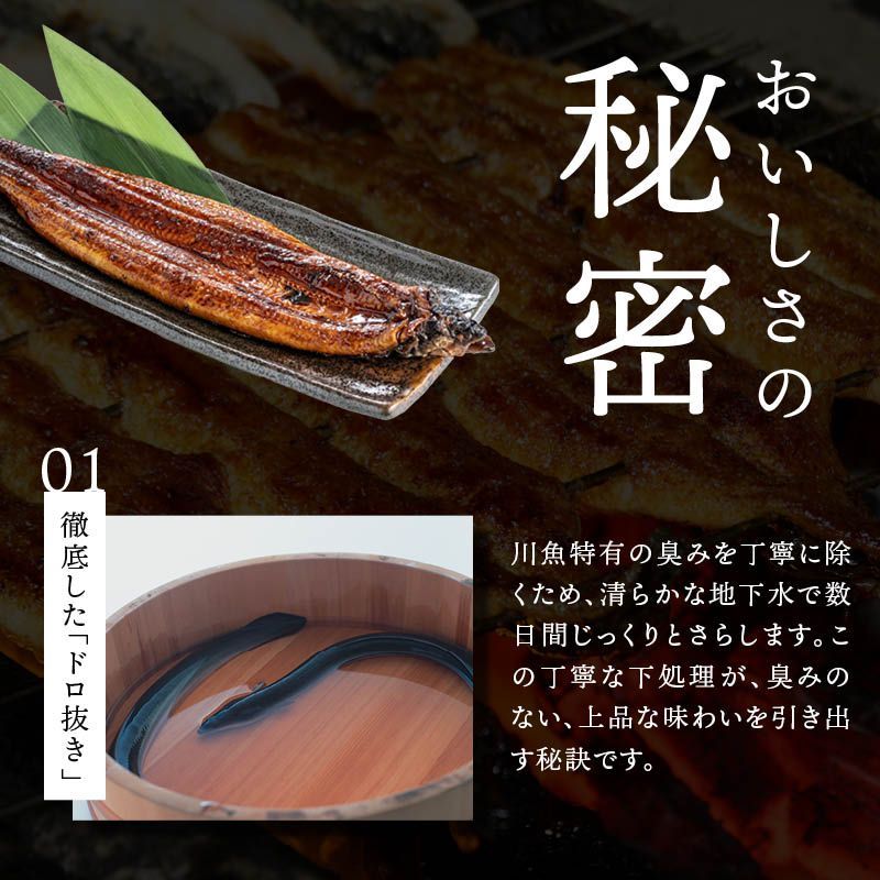 前田家 国産